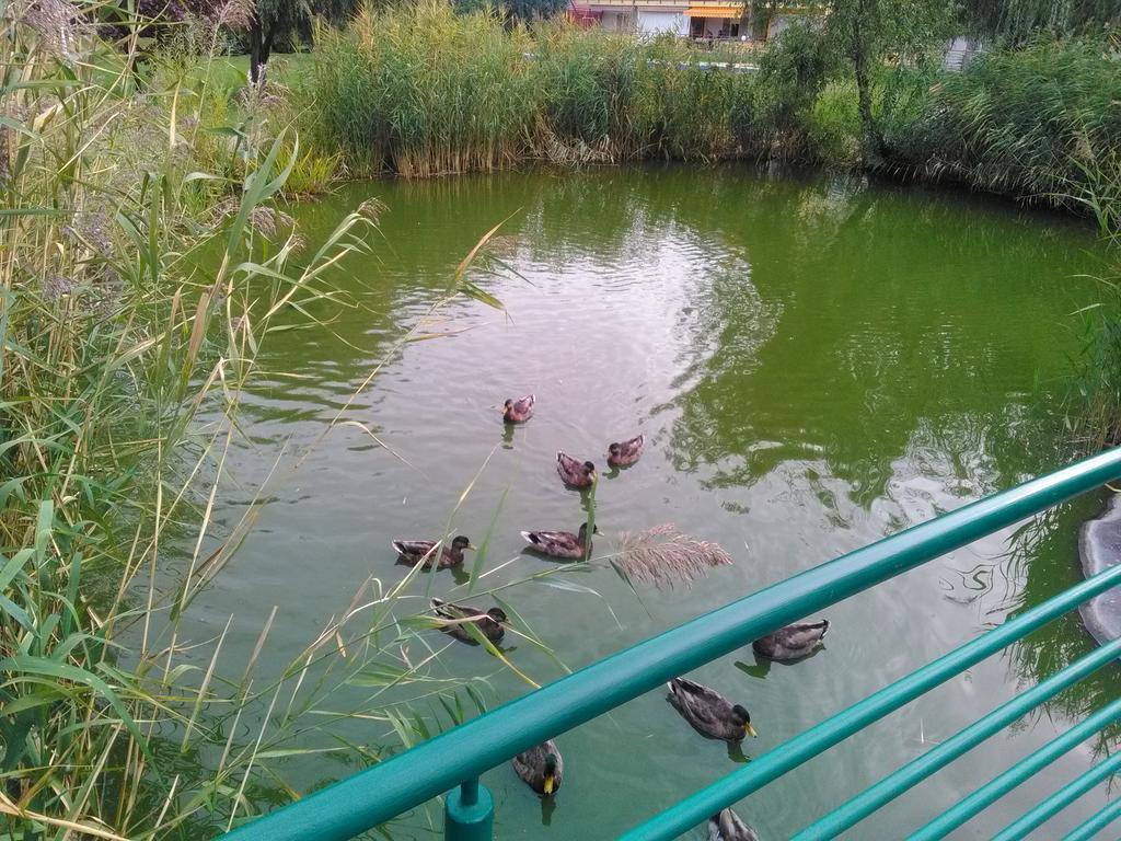 Horváth Apartman Cserkeszőlő Kültér fotó